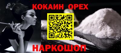 индика Гатчина