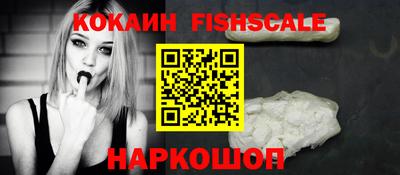 индика Гатчина