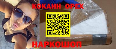 индика Гатчина