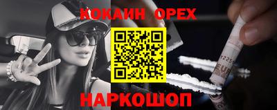 индика Гатчина