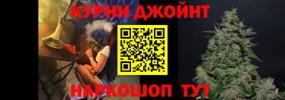 индика Гатчина