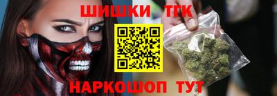 индика Гатчина