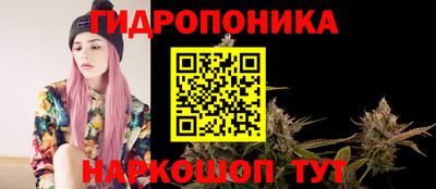 индика Гатчина