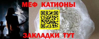 индика Гатчина