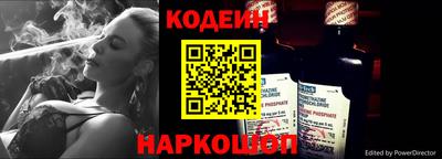 индика Гатчина