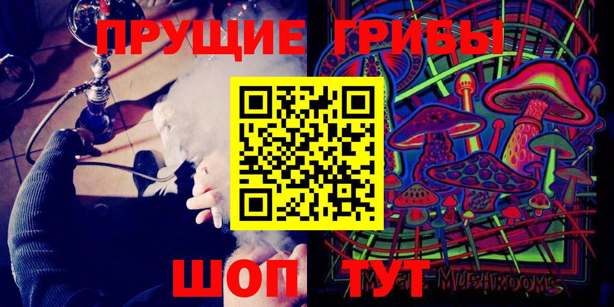 купить   Галлюциногенные грибы MAGIC MUSHROOMS  Новозыбков  Вход с VPN  Галлюциногенные грибы Cubensis 
