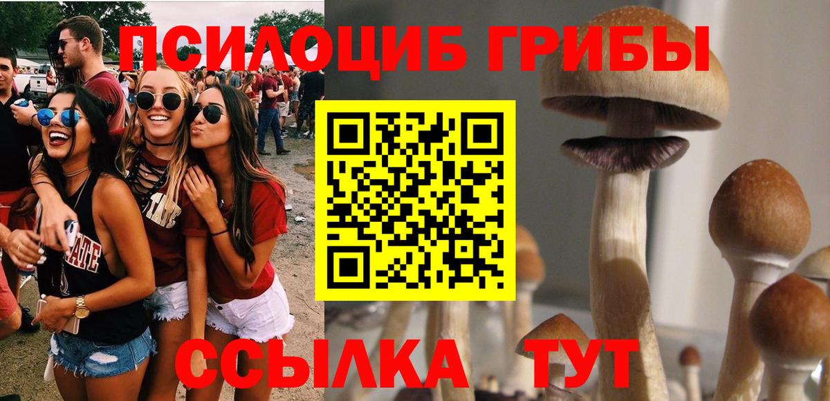 Галлюциногенные грибы Cubensis Новозыбков